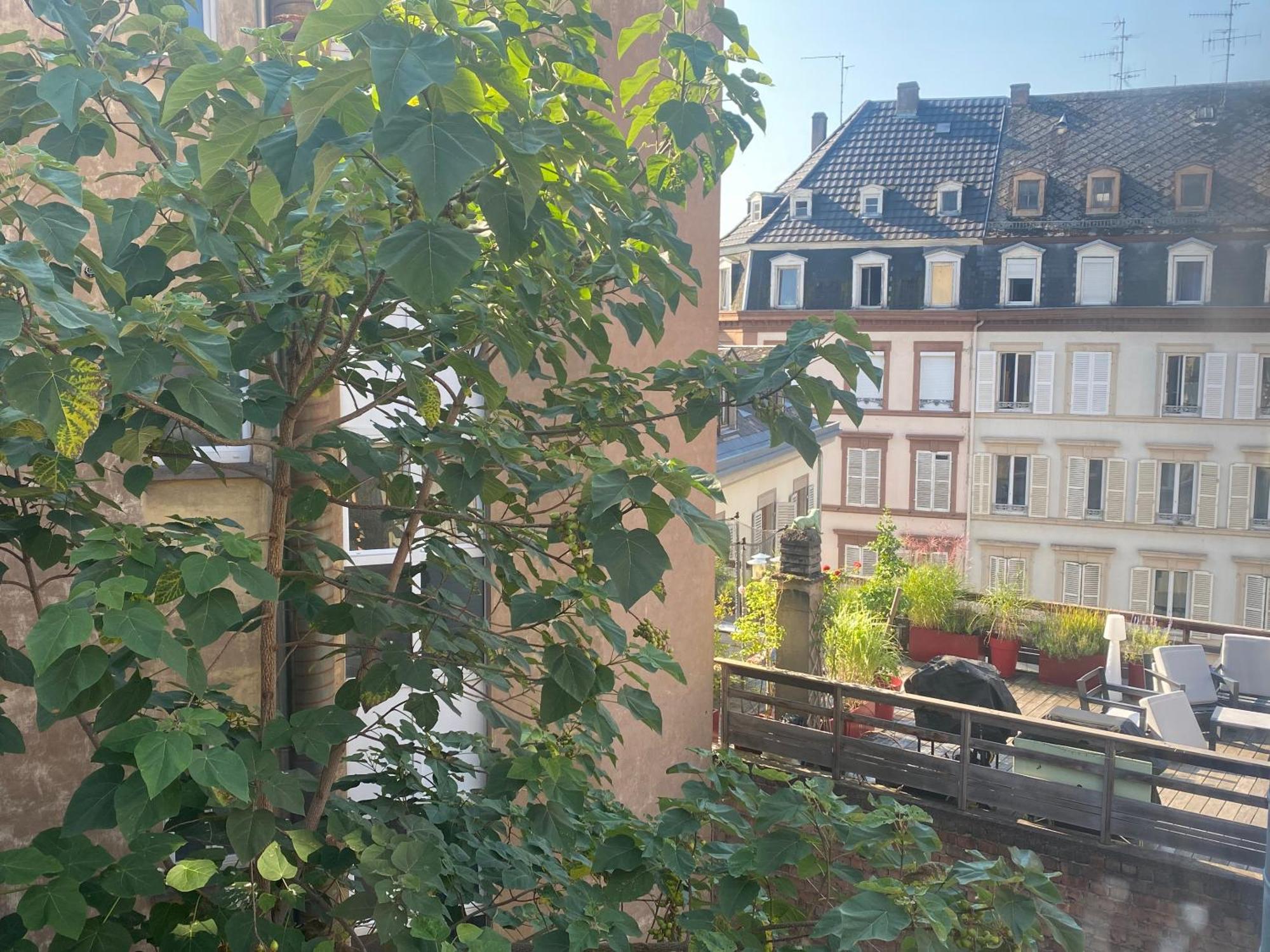 La Petite Auberge De Estrasburgo Exterior foto